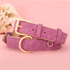 Leather Soft Padded Dog Collar