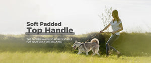 Heavy Duty Dog Leash with Elastic Bungee