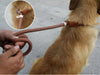 Dog Walking Leash Slip Rope Lead Leash