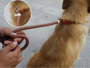 Dog Walking Leash Slip Rope Lead Leash