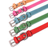 Adjustable Leather Small Dog Collar