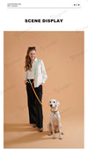 Colorful Neck ring Collar For Female Dogs