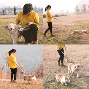 Retractable Dog Leash for Small Dogs