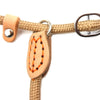 Dog Walking Leash Slip Rope Lead Leash