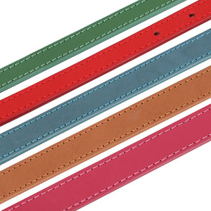 Adjustable Leather Small Dog Collar