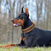 Cool Spikes Studded Leather dog Collars