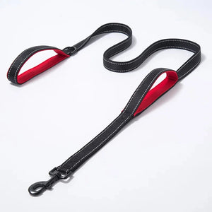 Dog Leashes Outdoor Travel