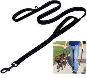 Dog Leashes Outdoor Travel