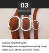 Dog Walking Leash Slip Rope Lead Leash