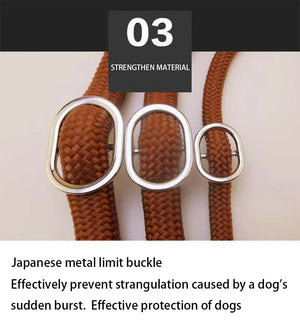 Dog Walking Leash Slip Rope Lead Leash
