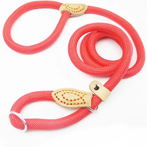 Dog Walking Leash Slip Rope Lead Leash
