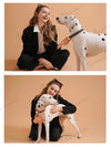 Colorful Neck ring Collar For Female Dogs