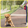 Classic Adjustable Reflective Training Military Dog Collar