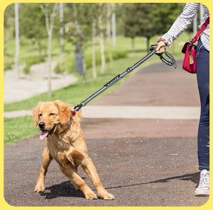 Classic Adjustable Reflective Training Military Dog Collar