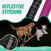 16ft Long Dual Dog Leash Attachment