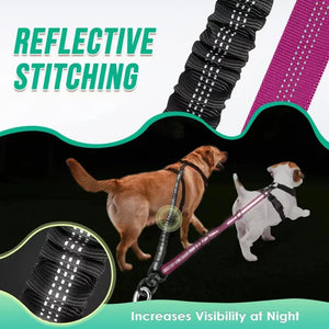 16ft Long Dual Dog Leash Attachment