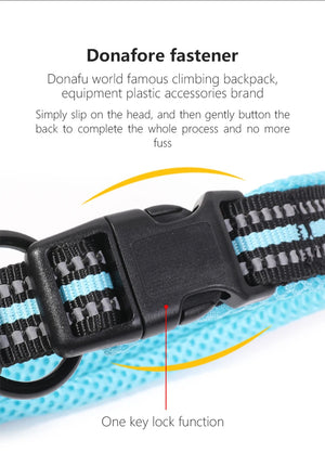 Cross-border Dog Collar