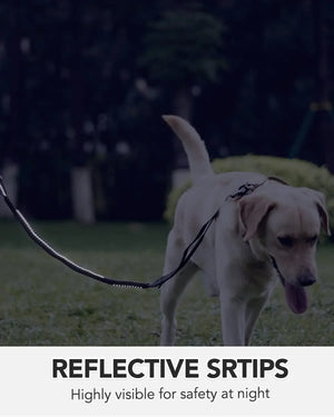Heavy Duty Dog Leash with Elastic Bungee