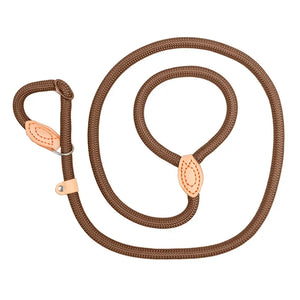 Dog Walking Leash Slip Rope Lead Leash