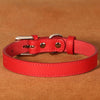 Adjustable Leather Small Dog Collar