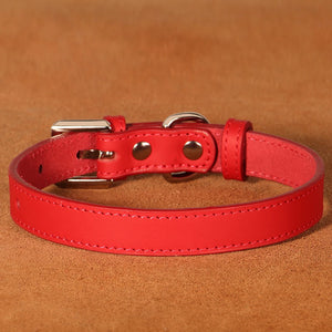 Adjustable Leather Small Dog Collar