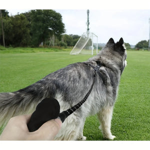 Reflective Dog Leash With Comfortable Padded Handle