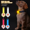 USB Rechargeable Waterproof Dog Pendant LED Flashlight
