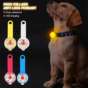 USB Rechargeable Waterproof Dog Pendant LED Flashlight