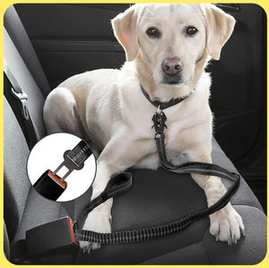 Classic Adjustable Reflective Training Military Dog Collar