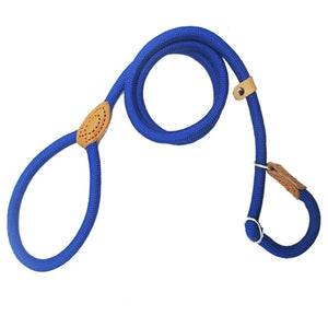 Dog Walking Leash Slip Rope Lead Leash