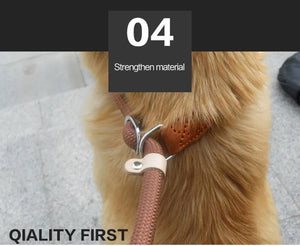 Dog Walking Leash Slip Rope Lead Leash