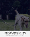 Classic Adjustable Reflective Training Military Dog Collar