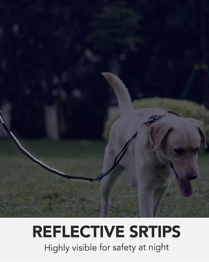 Classic Adjustable Reflective Training Military Dog Collar