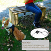 Retractable Dog Leash for Small Dogs