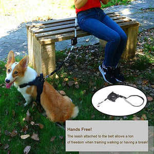 Retractable Dog Leash for Small Dogs