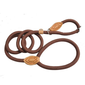 Dog Walking Leash Slip Rope Lead Leash