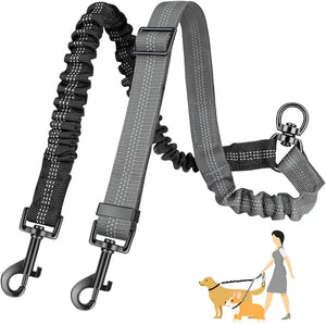 16ft Long Dual Dog Leash Attachment