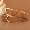 Leather Soft Padded Dog Collar