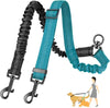 16ft Long Dual Dog Leash Attachment