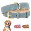 Leather Soft Padded Dog Collar