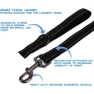 Dog Leashes Outdoor Travel
