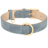 Leather Soft Padded Dog Collar