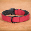 Large Soft Padded Dog Collars