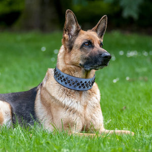 Cool Spikes Studded Leather dog Collars