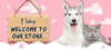 Leather Soft Padded Dog Collar