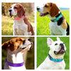 Adjustable Breathable Nylon Soft Padded Dog Collar