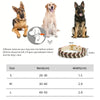 Colorful Neck ring Collar For Female Dogs