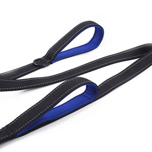Dog Leashes Outdoor Travel