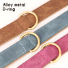 Leather Soft Padded Dog Collar