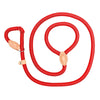 Dog Walking Leash Slip Rope Lead Leash